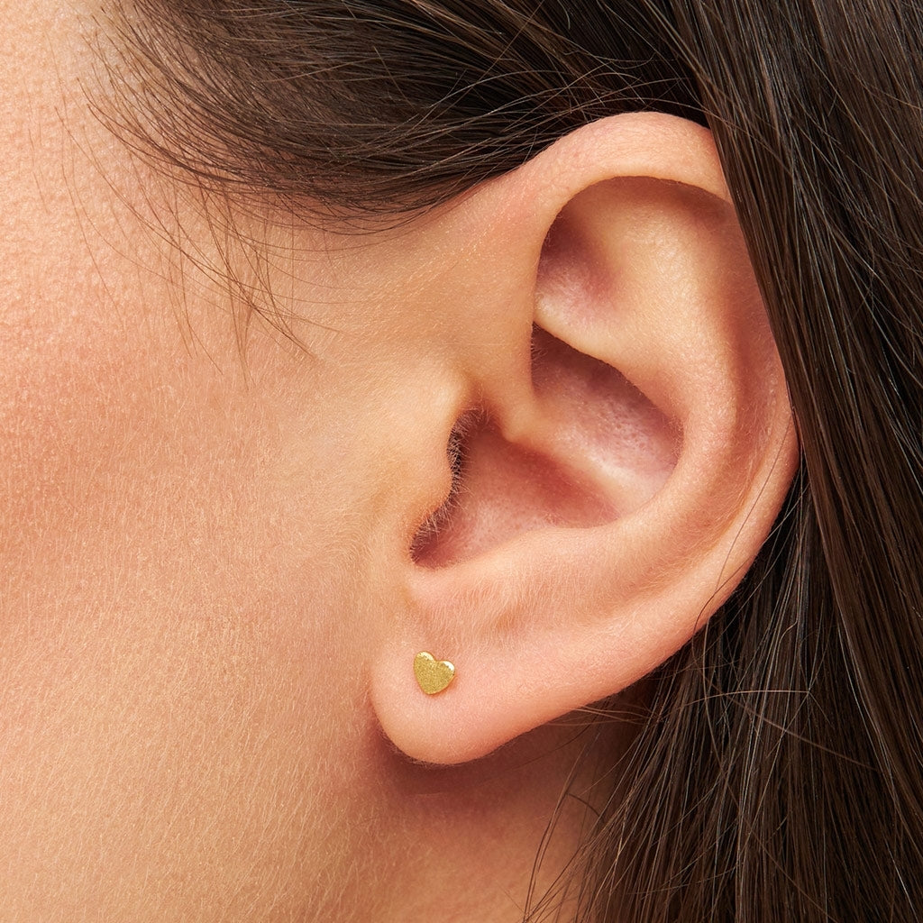 LULU Copenhagen Family Love Øreringe par børstet Earrings, pairs Forgyldt