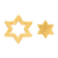 Family Star øreringe par - Forgyldt