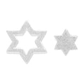 Family Star øreringe par - Sølv